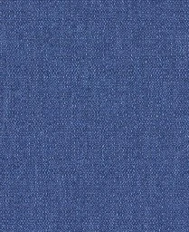Swatch thumbnail for Indigo
